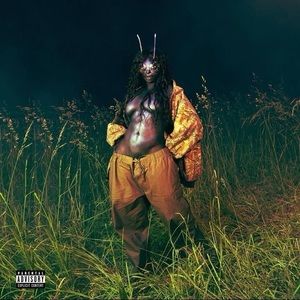 Meet your Posher, Brooklynn